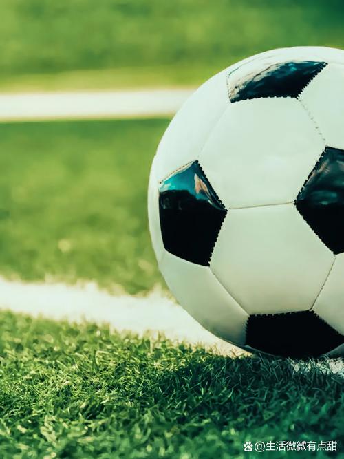 数据研究者进行足球比分统计建模